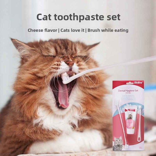 Natural Enzymatic Cheese Flavored Cat Toothpaste Kit - Gentle Teeth Cleaning, Fresh Breath, Prevents Tartar & Plaque, Safe to Swallow, Vet Recommended - Pawembrace.com