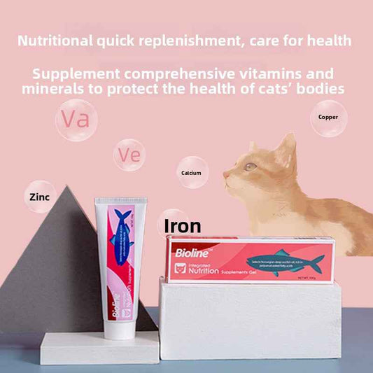 High Calorie Nutritional Gel for Cats | Cat Appetite Booster & Energy Paste – Natural Vitamins & Minerals, Supports Recovery, Improves Appetite & Vitality, Gentle Absorption, Safe for All Ages - Pawembrace.com