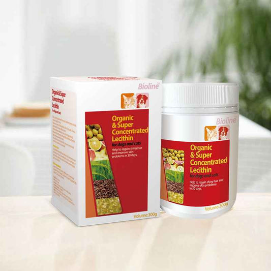 Natural High-Potency Pet Lecithin Soft Granules | Dog & Cat Skin & Coat Supplement – Reduces Shedding, Easy Absorption, Safe Formula - Pawembrace.com