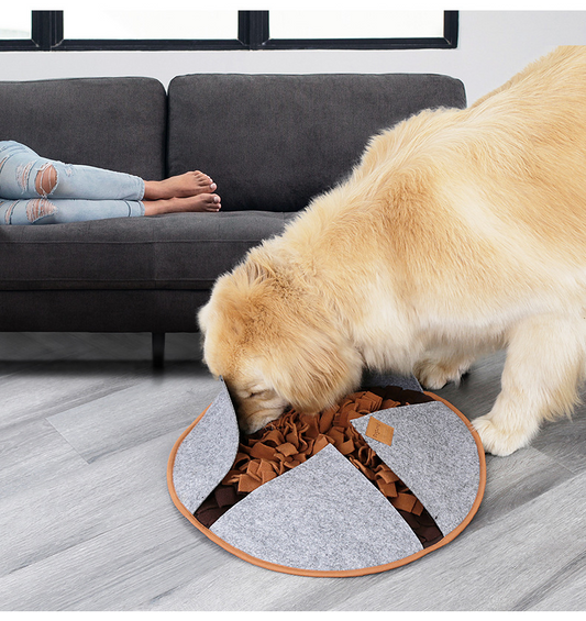Irregular Shape Dog Snuffle Mat - Slow Feeder Puzzle & Foraging For Self-Play - Pawembrace.com