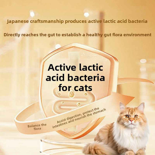 Cat Probiotics - Gut Health & Digestion Support Supplement for Pets - Pawembrace.com