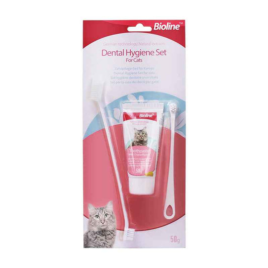 Natural Enzymatic Cheese Flavored Cat Toothpaste Kit - Gentle, Fresh Breath, Vet Recommended - Pawembrace.com