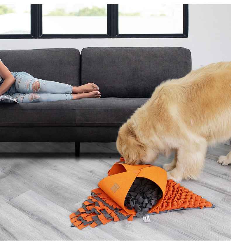 Irregular Shape Interactive Snuffle Mat for Dogs – Slow Feeder Puzzle Foraging Toy for Mental Stimulation & Self-Play - Pawembrace.com