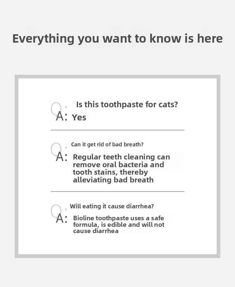 Natural Enzymatic Cheese Flavored Cat Toothpaste Kit - Gentle Teeth Cleaning, Fresh Breath, Prevents Tartar & Plaque, Safe to Swallow, Vet Recommended - Pawembrace.com