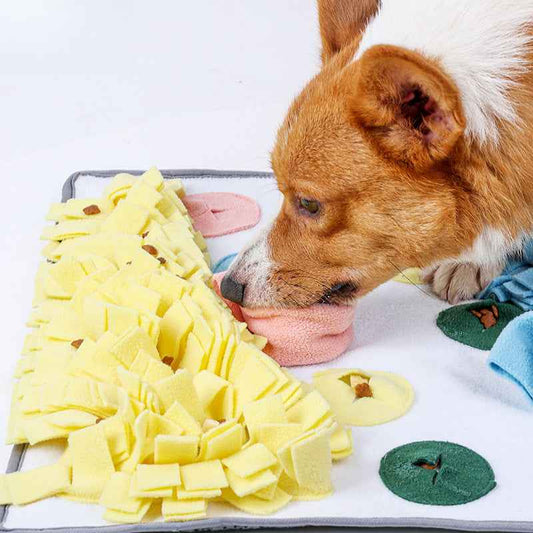 Dog Snuffle Mat: Treat Hiding Training Pad, Anti-Destruction Stress Relief Toy - Pawembrace.com