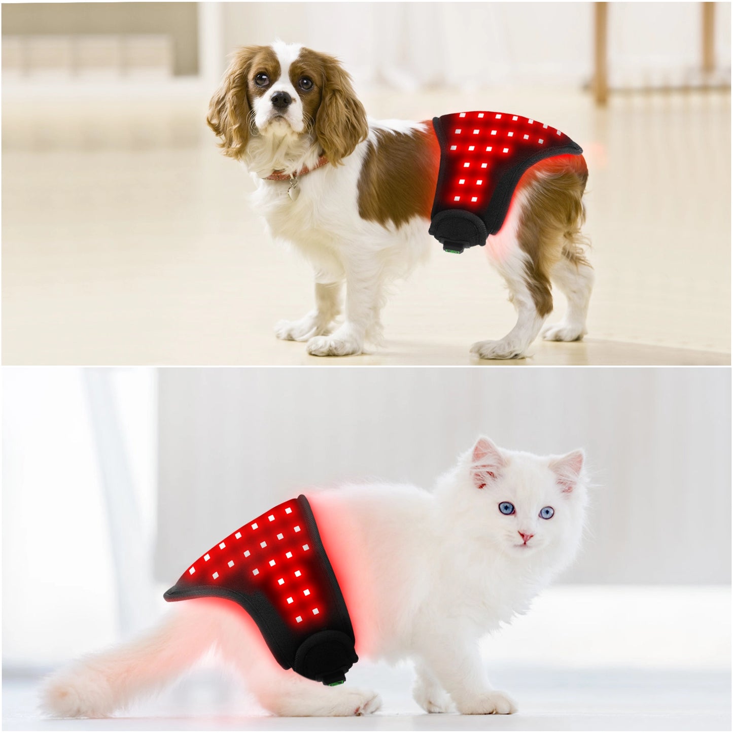 Pet Care Red Light Therapy Belt with 660NM 850NM LED Infrared Wrap for Dog and Cats