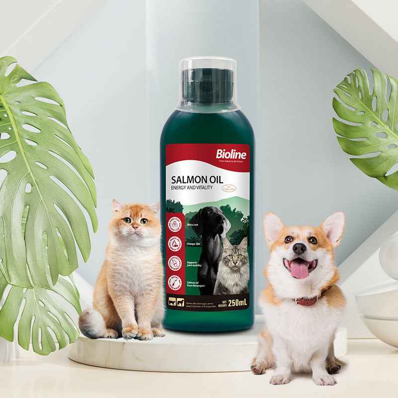 Omega-3 Fish Oil for Dogs: Enhance Mobility and Ease Arthritis in Senior Dogs in 2026 - Pawembrace.com