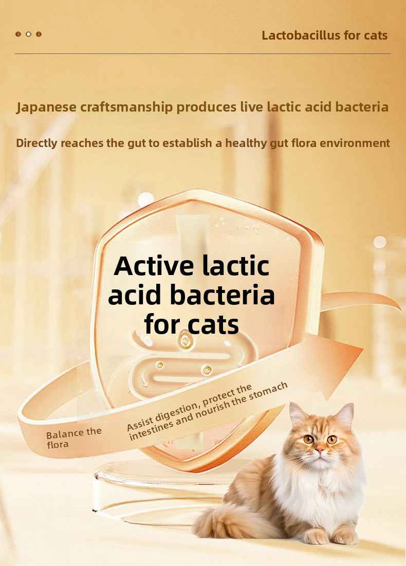 Cat Probiotics - Gut Health & Digestion Support Supplement for Pets - Pawembrace.com