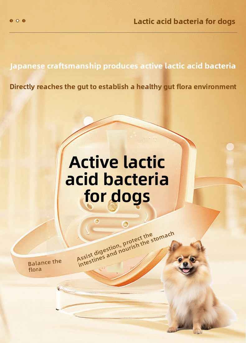 Vet Recommended Dog Probiotics | 10 Billion CFU Multi-Strain Canine Probiotic Powder – Supports Gut Health, Relieves Diarrhea, Soft Stool & Bad Breath, Boosts Immunity | Natural, No Additives, Pet-Specific - Pawembrace.com