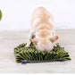 Classic Square Dog Snuffle Mat - Treat Hiding Puzzle Slow Feeder Bowl, Bite-Resistant Stress Relief Training Interactive Pet Toy - Pawembrace.com