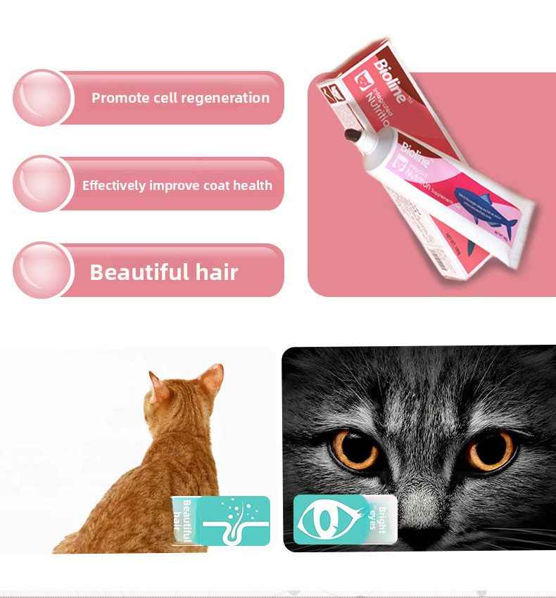 High Calorie Nutritional Gel for Cats | Cat Appetite Booster & Energy Paste – Natural Vitamins & Minerals, Supports Recovery, Improves Appetite & Vitality, Gentle Absorption, Safe for All Ages - Pawembrace.com