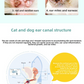 Natural Pet Ear Cleaner Drops for Dogs & Cats – Wax Removal, Soothes & Safe Care - Pawembrace.com