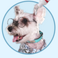 Natural Pet Ear Cleaner Drops for Dogs & Cats – Wax Removal, Soothes & Safe Care - Pawembrace.com