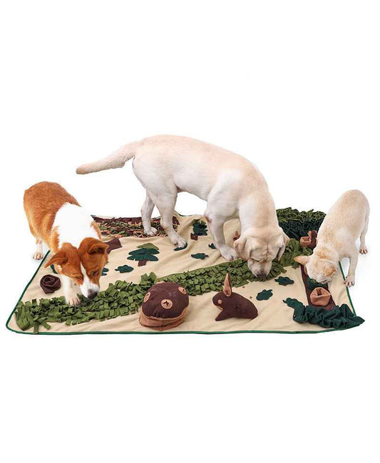 Extra Large Dog Snuffle Mat – Interactive Nosework Puzzle Toy, Slow Feeder for Mental Stimulation & Anxiety Relief - Pawembrace.com