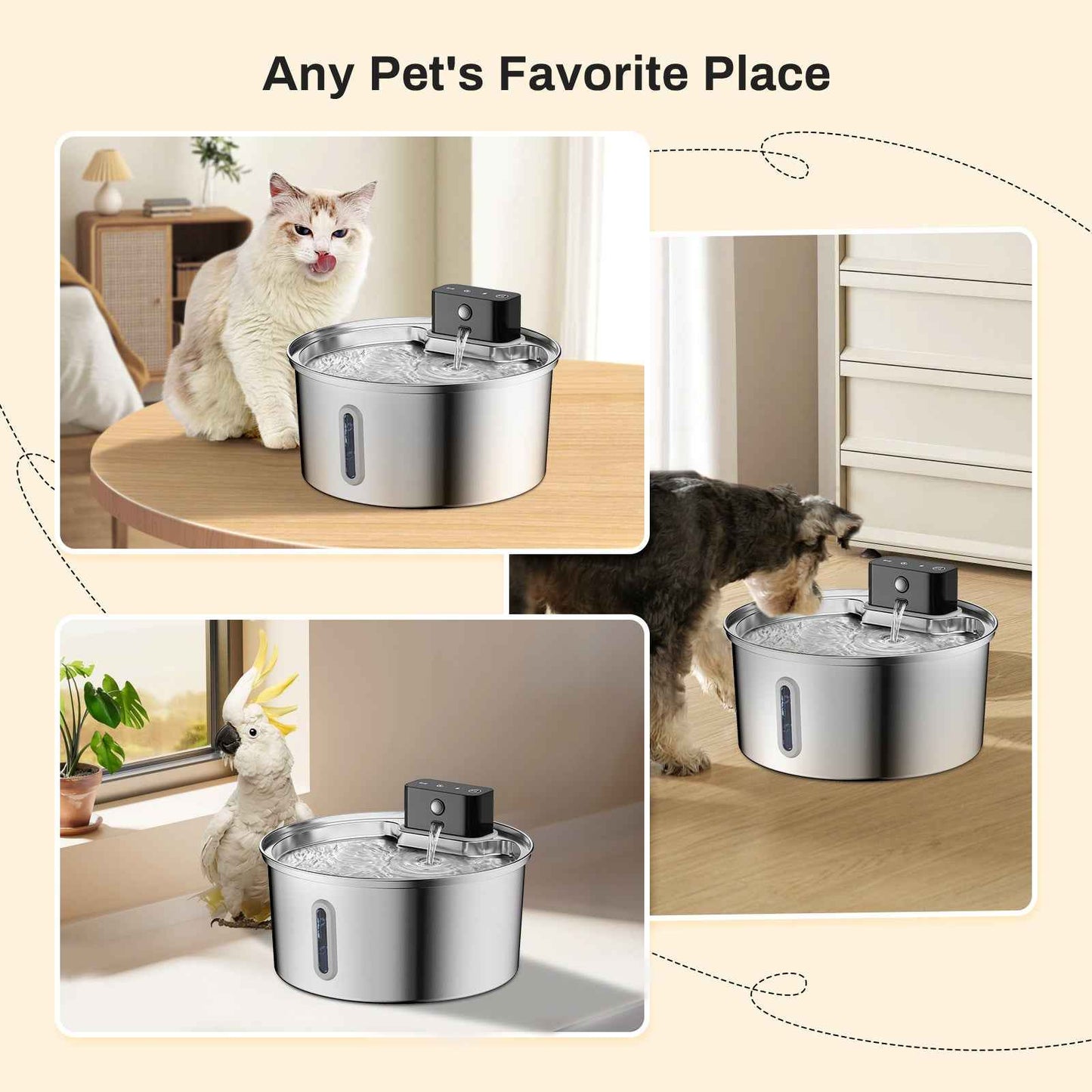3.2L Stainless Steel Automatic Ultra Quiet Cat Water Fountain with Viewing Window, Lithium Battery Pump & Circulating Flow - Pawembrace.com