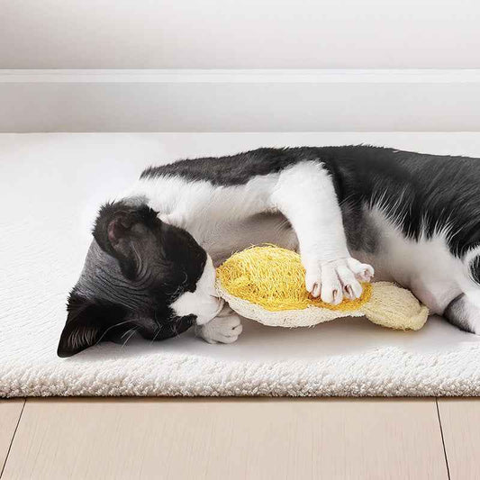 Natural Loofah Cat Toys with Catnip – Dental Chew Teething Toys for Cats & Kittens, Interactive Self-Play - Pawembrace.com