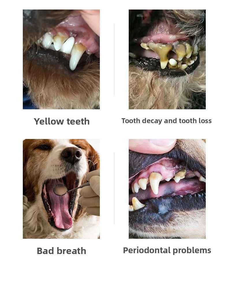 Natural Gentle Dog Toothpaste - Vet Recommended Fluoride-Free Pet Toothpaste for Dogs, Reduces Plaque & Freshens Breath - Pawembrace.com