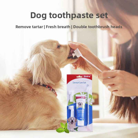 Mint Flavor Dog Toothpaste Kit | Natural Gentle Formula for Dogs – Freshens Breath, Reduces Plaque & Tartar, Safe & Edible - Pawembrace.com