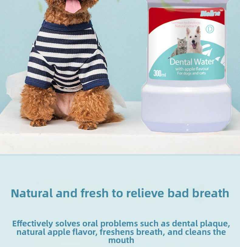 Vet Recommended Cat & Dog Mouthwash | Natural Plant-Based Pet Oral Care Rinse – 100% Alcohol-Free, Freshens Breath, Removes Plaque & Tartar, Prevents Bad Breath & Gingivitis | Safe & Gentle for Cats & Dogs - Pawembrace.com
