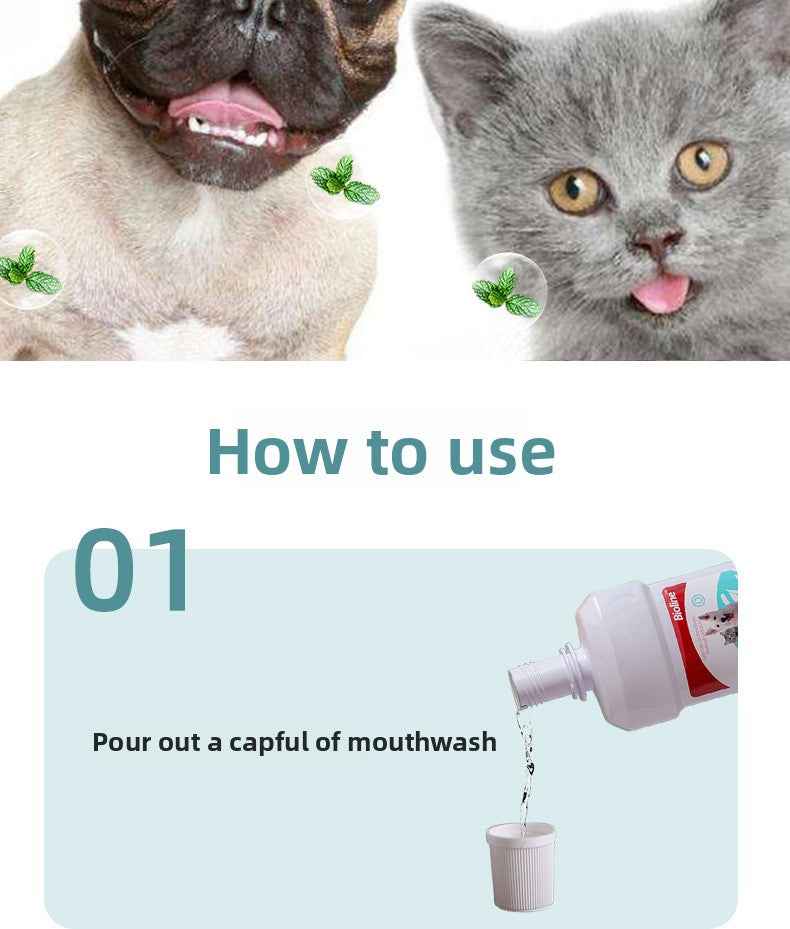 Vet Recommended Cat & Dog Mouthwash | Natural Plant-Based Pet Oral Care Rinse – 100% Alcohol-Free, Freshens Breath, Removes Plaque & Tartar, Prevents Bad Breath & Gingivitis | Safe & Gentle for Cats & Dogs - Pawembrace.com