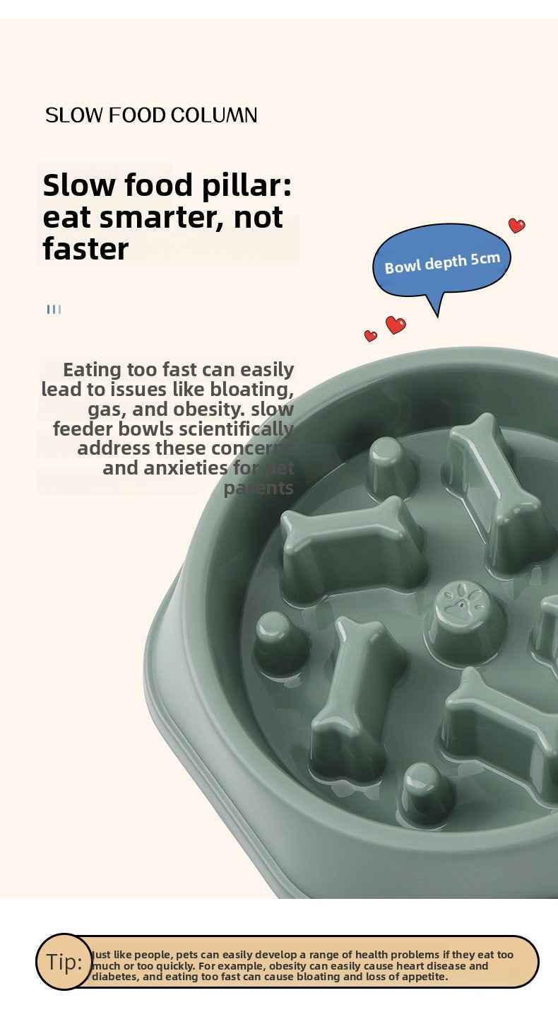 Slow Feeder Dog Bowl for Large Medium Small Dogs & Cats - Anti-Choking Puzzle Bowl, Non-Slip Slow Eating Bowl, Prevents Bloat & Gulping, Durable Pet Feeder Bowl - Pawembrace.com