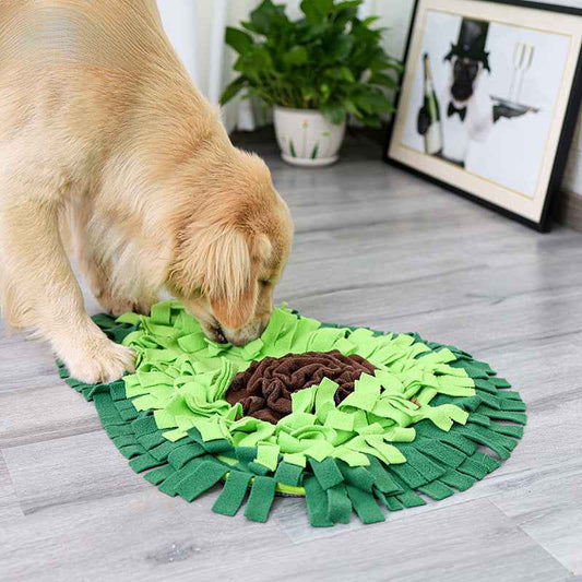 Avocado Dog Snuffle Mat - Interactive Slow Feeder Puzzle Toy, Hide Treats to Burn Energy & Prevent Chewing with Durable Anti-Tear Design, Premium Pet Enrichment Supplies - Pawembrace.com