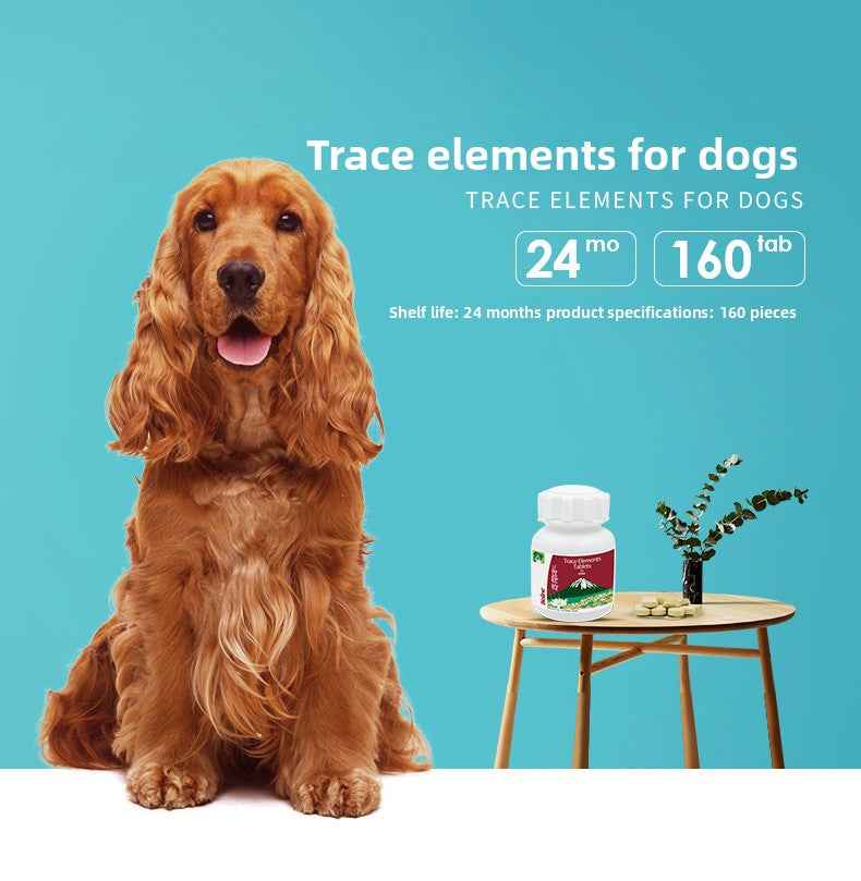 Premium Vet-Direct Dog Multivitamin & Mineral Supplement Tablets – Improves Picky Eating, Pica & Appetite Loss | Boosts Immunity & Promotes Shiny Coat & Skin Health | For Puppies & Adult Dogs - Pawembrace.com