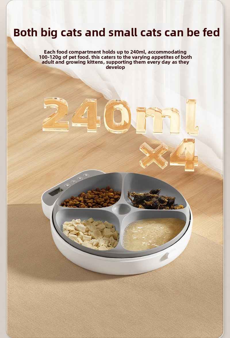 4-Meal Automatic Timed Dry & Wet Food Pet Feeder with Ice Crystal Freshness Box - Detachable & Washable - Pawembrace.com