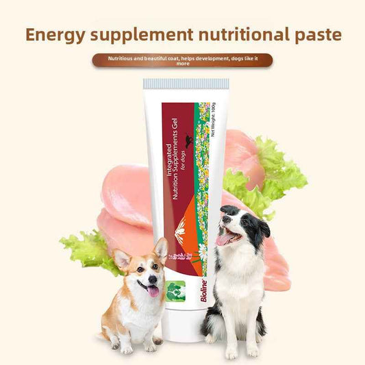 High Calorie Nutritional Gel for Dogs | Natural Vitamins & Minerals Energy Paste – Appetite Booster, Supports Recovery & Vitality, Gentle & Easy Absorption, Safe for All Ages - Pawembrace.com
