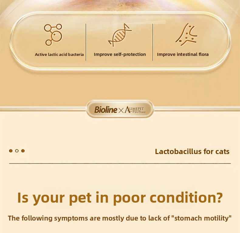 Cat Probiotics - Gut Health & Digestion Support Supplement for Pets - Pawembrace.com