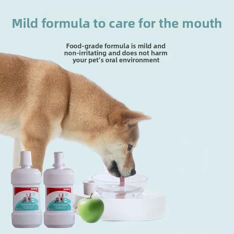 Vet Recommended Cat & Dog Mouthwash | Natural Plant-Based Pet Oral Care Rinse – 100% Alcohol-Free, Freshens Breath, Removes Plaque & Tartar, Prevents Bad Breath & Gingivitis | Safe & Gentle for Cats & Dogs - Pawembrace.com
