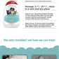 Vet Recommended Bio-Enzyme Pet Odor Eliminator Spray - Cat & Dog Urine Odor Decomposer, Safe & Fast-Acting - Pawembrace.com