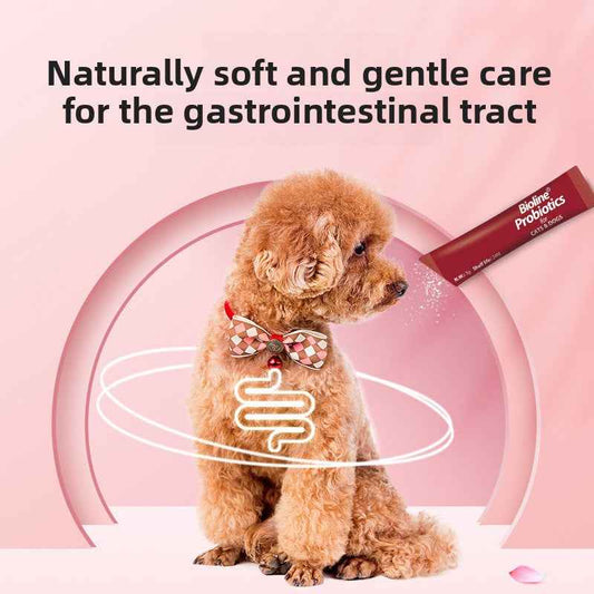 Natural High-Potency Pet Probiotic | Multi-Strain for Dogs & Cats – Supports Digestive Health, Relieves Diarrhea & Loose Stool, Boosts Immunity, Gentle Gut Balance, Safe for All Ages - Pawembrace.com