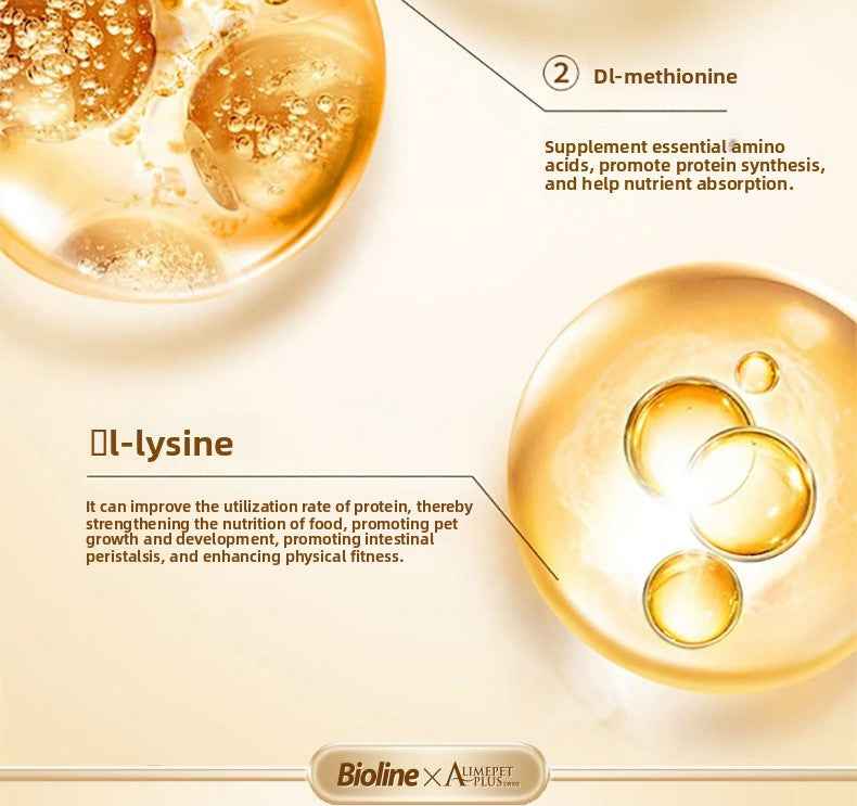 Cat Probiotics - Gut Health & Digestion Support Supplement for Pets - Pawembrace.com