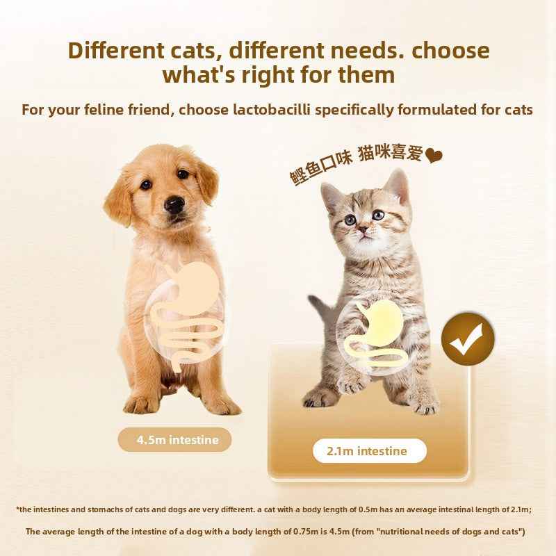 Cat Probiotics - Gut Health & Digestion Support Supplement for Pets - Pawembrace.com