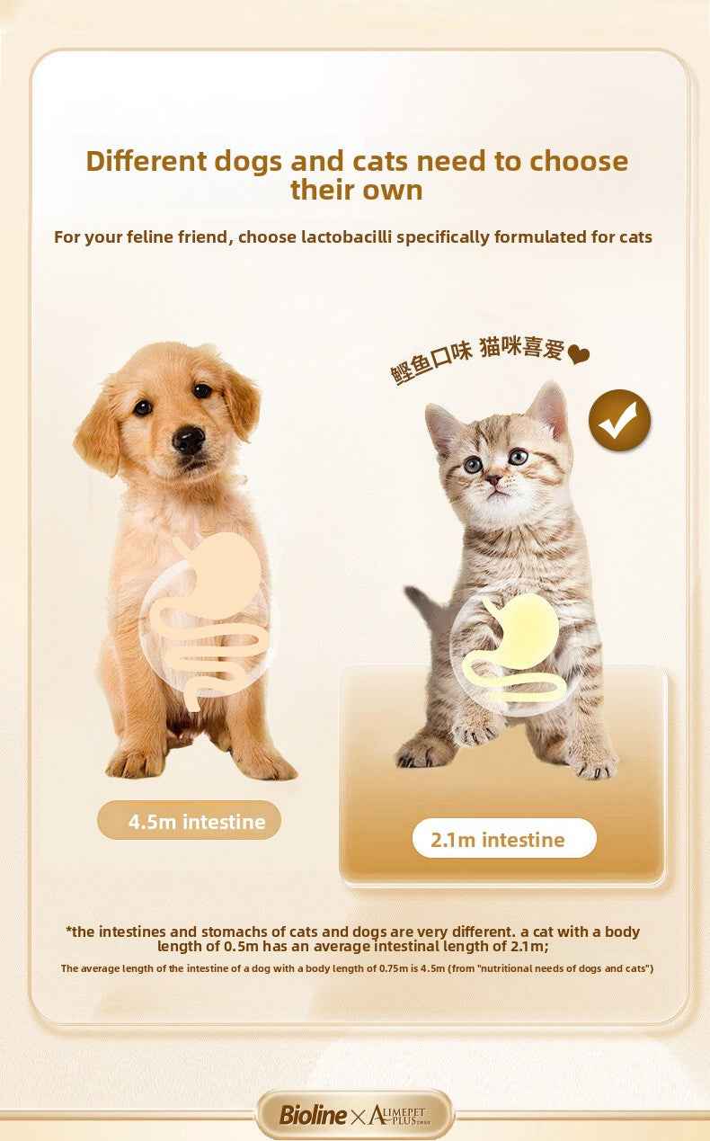 Cat Probiotics - Gut Health & Digestion Support Supplement for Pets - Pawembrace.com