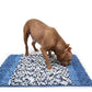 Anti-Choke Lick Mat for Dogs & Cats - Slow Feeder Snuffle Pad, Treat Dispensing Puzzle Boredom Buster Interactive Pet Toy - Pawembrace.com