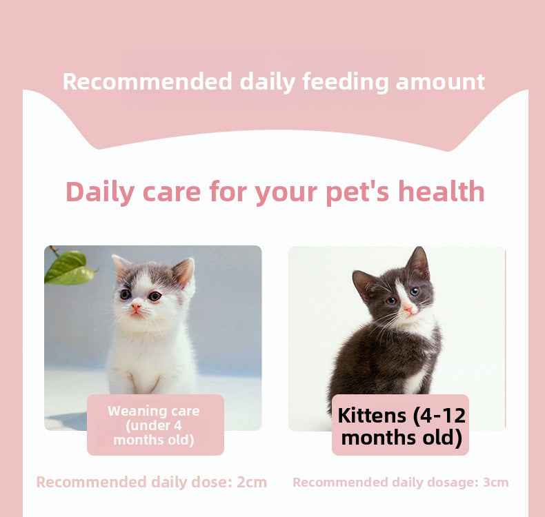 High Calorie Nutritional Gel for Cats | Cat Appetite Booster & Energy Paste – Natural Vitamins & Minerals, Supports Recovery, Improves Appetite & Vitality, Gentle Absorption, Safe for All Ages - Pawembrace.com