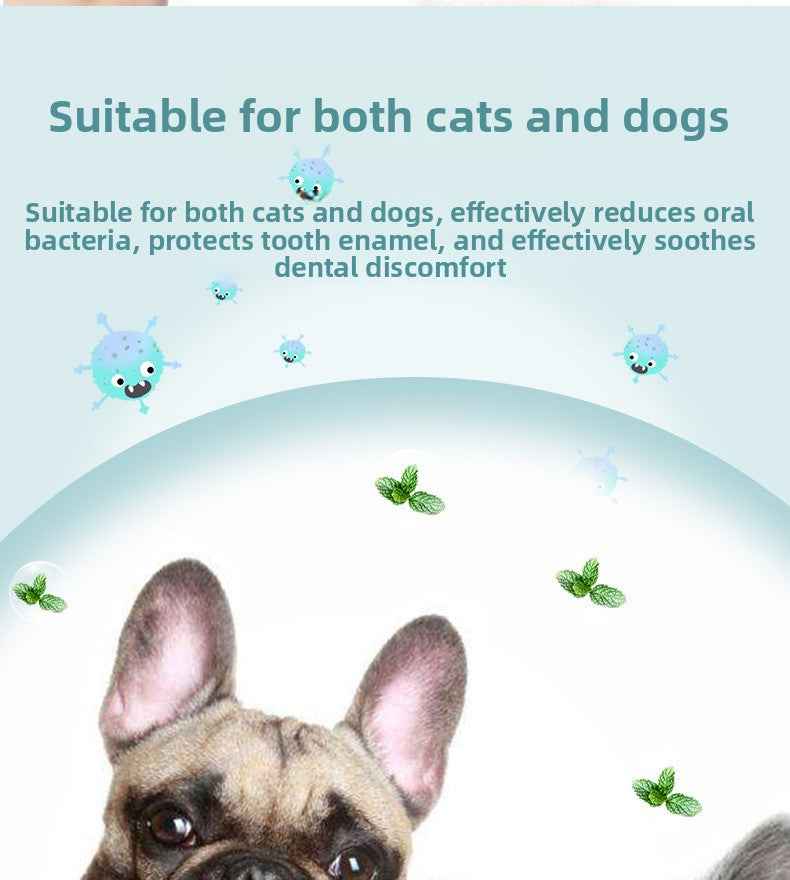Vet Recommended Cat & Dog Mouthwash | Natural Plant-Based Pet Oral Care Rinse – 100% Alcohol-Free, Freshens Breath, Removes Plaque & Tartar, Prevents Bad Breath & Gingivitis | Safe & Gentle for Cats & Dogs - Pawembrace.com