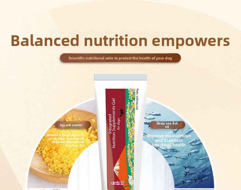 High Calorie Nutritional Gel for Dogs | Natural Vitamins & Minerals Energy Paste – Appetite Booster, Supports Recovery & Vitality, Gentle & Easy Absorption, Safe for All Ages - Pawembrace.com