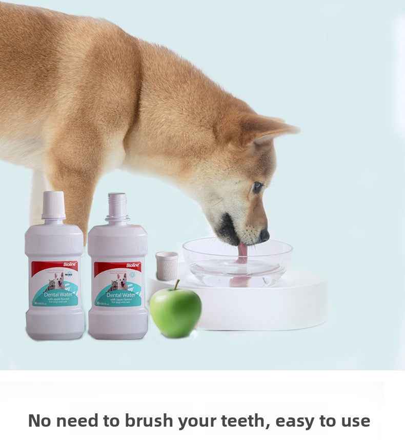 Vet Recommended Cat & Dog Mouthwash | Natural Plant-Based Pet Oral Care Rinse – 100% Alcohol-Free, Freshens Breath, Removes Plaque & Tartar, Prevents Bad Breath & Gingivitis | Safe & Gentle for Cats & Dogs - Pawembrace.com