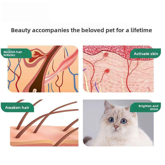 Natural High-Potency Pet Lecithin Soft Granules | Dog & Cat Skin & Coat Supplement – Reduces Shedding, Easy Absorption, Safe Formula - Pawembrace.com