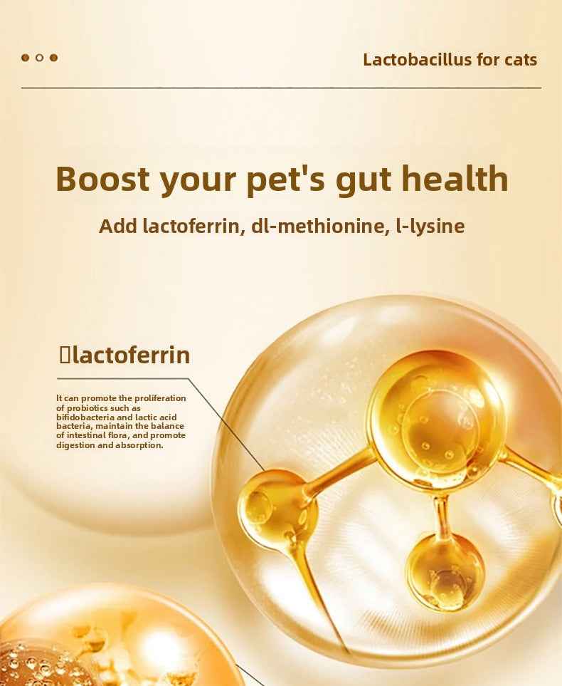 Cat Probiotics - Gut Health & Digestion Support Supplement for Pets - Pawembrace.com