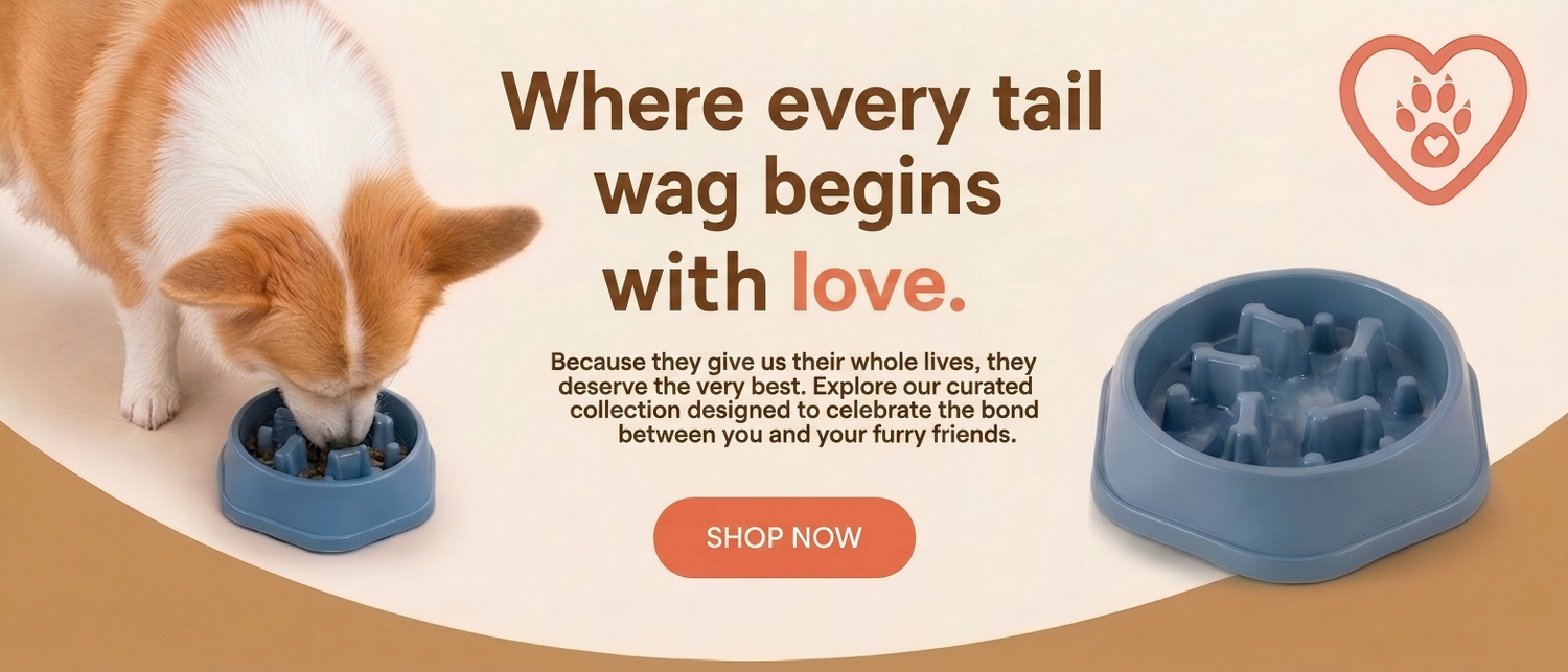 Corgi dog eating from a blue slow feeder bowl on a beige background with promotional text.