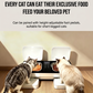 Automatic Wet Pet Food Feeder with Heating Cooling