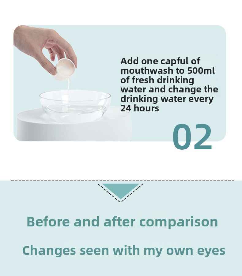 Vet Recommended Cat & Dog Mouthwash | Natural Plant-Based Pet Oral Care Rinse – 100% Alcohol-Free, Freshens Breath, Removes Plaque & Tartar, Prevents Bad Breath & Gingivitis | Safe & Gentle for Cats & Dogs - Pawembrace.com