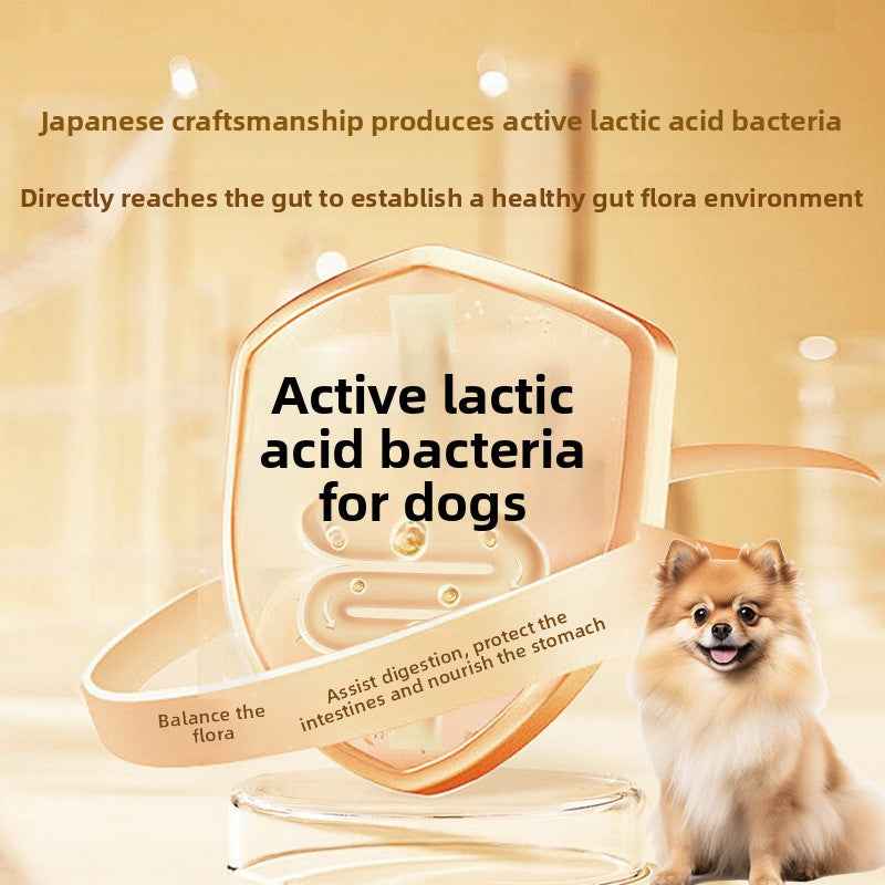 Vet Recommended Dog Probiotics | 10 Billion CFU Multi-Strain Canine Probiotic Powder – Supports Gut Health, Relieves Diarrhea, Soft Stool & Bad Breath, Boosts Immunity | Natural, No Additives, Pet-Specific - Pawembrace.com