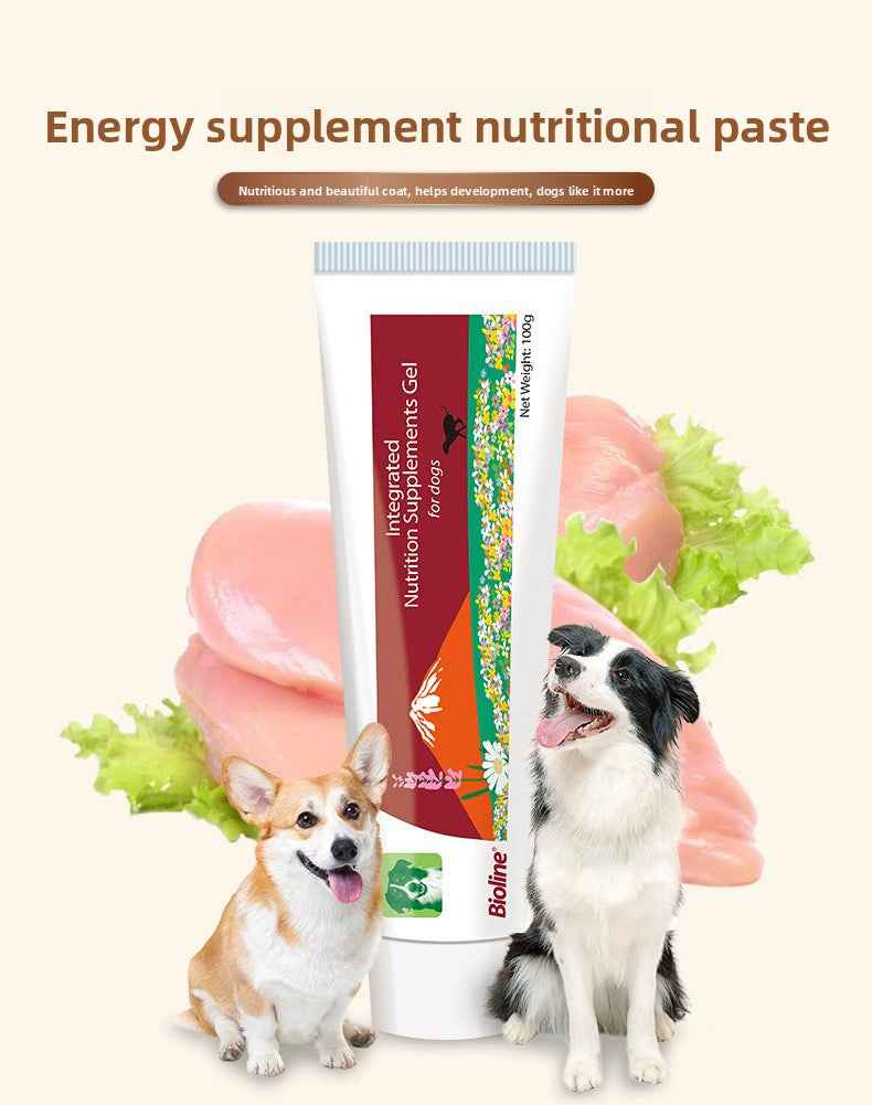 High Calorie Nutritional Gel for Dogs | Natural Vitamins & Minerals Energy Paste – Appetite Booster, Supports Recovery & Vitality, Gentle & Easy Absorption, Safe for All Ages - Pawembrace.com