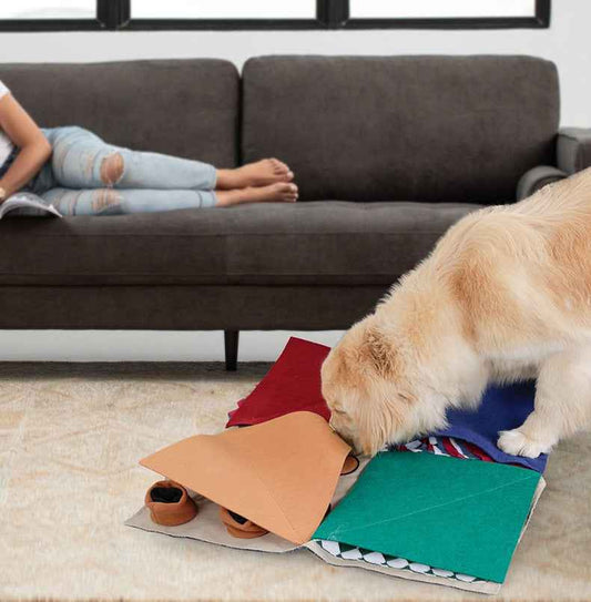 Irregular Shape Interactive Snuffle Mat for Dogs – Slow Feeder Puzzle Foraging Toy for Mental Stimulation & Self-Play - Pawembrace.com