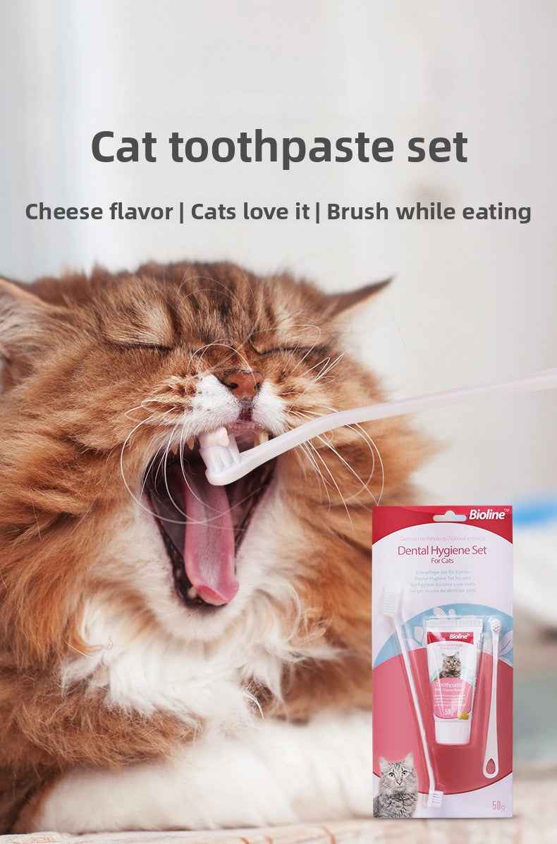 Natural Enzymatic Cheese Flavored Cat Toothpaste Kit - Gentle Teeth Cleaning, Fresh Breath, Prevents Tartar & Plaque, Safe to Swallow, Vet Recommended - Pawembrace.com